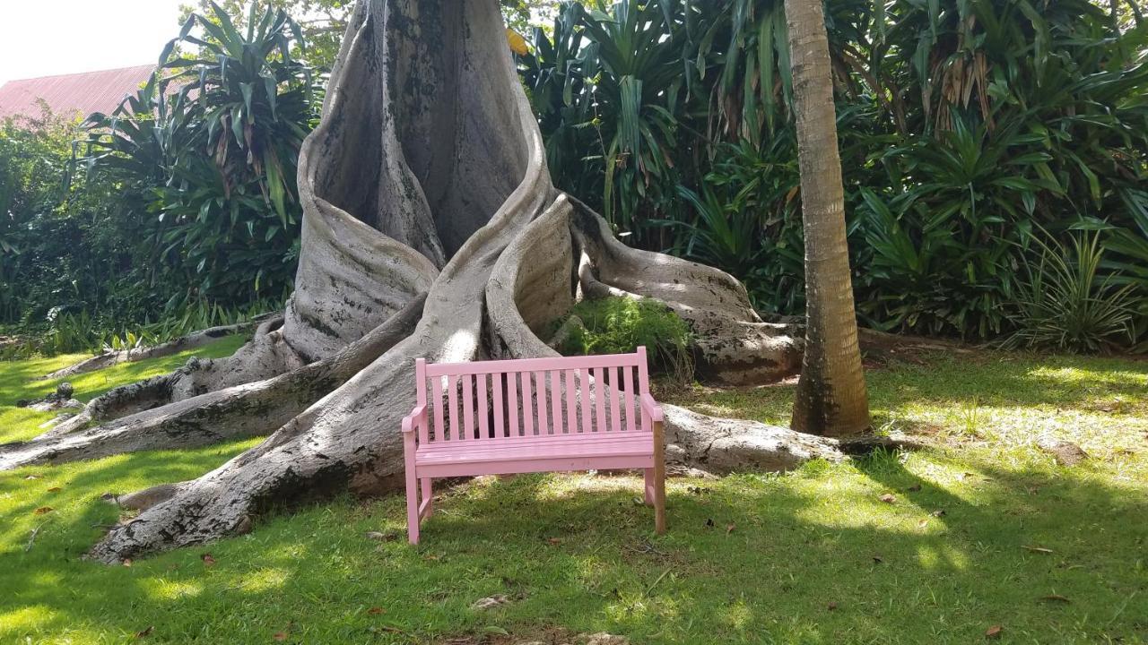 Llantrissant Beachcliff Villa Negril Eksteriør billede