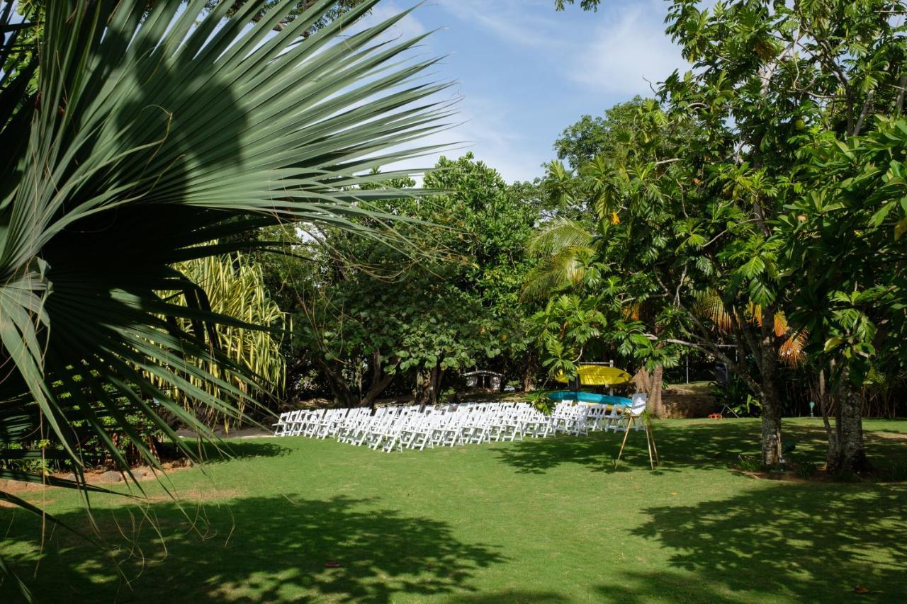 Llantrissant Beachcliff Villa Negril Eksteriør billede